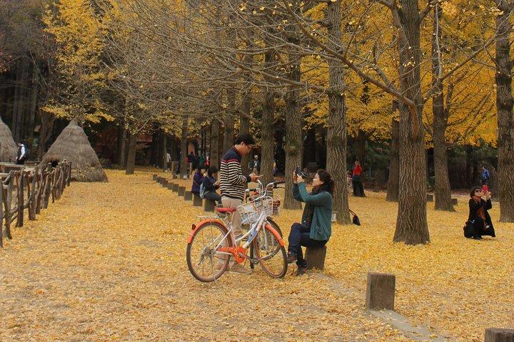 Privat dagstur Nami Island