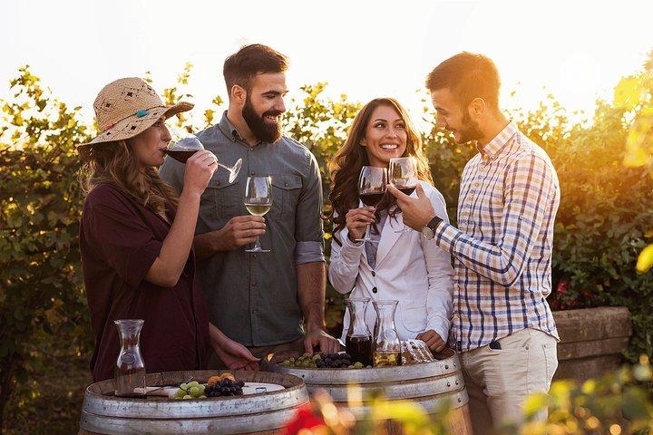 Hunter Valley hoogtepunten privéwijntour vanuit Sydney
