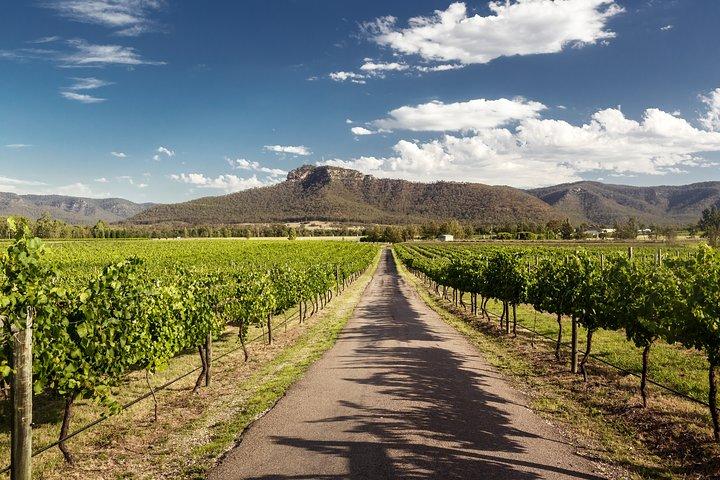 Hunter Valley Highlights Private Wine Tour from Sydney
