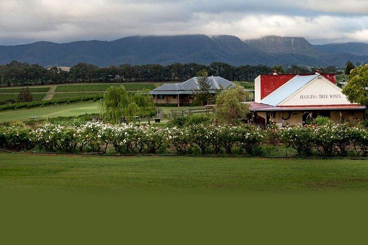 Hunter Valley Highlights Private Weintour ab Sydney