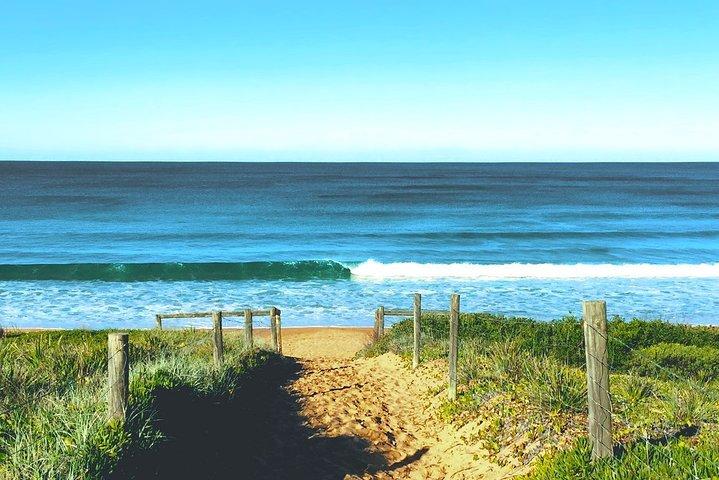 Sydney's Northern Beaches & Ku-ring-gai National Park Small Tour vanuit Manly