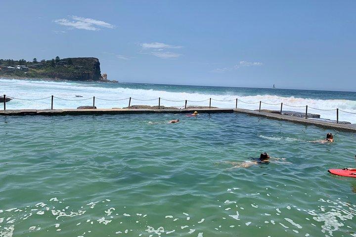 Escursione a terra: tour in autobus delle spiagge settentrionali di Sydney e del parco nazionale del Ku-ring-gai
