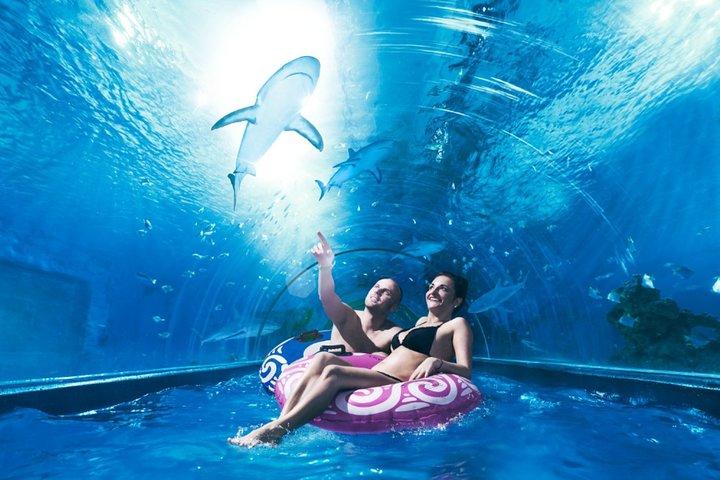 グダニスク、ソポト、グディニア発：プライベート アクアパーク レダ送迎