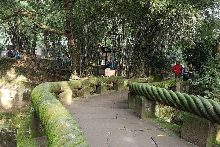 Chongqing Halve dag ochtend privétour inclusief Eling Park & Chongqing Museum