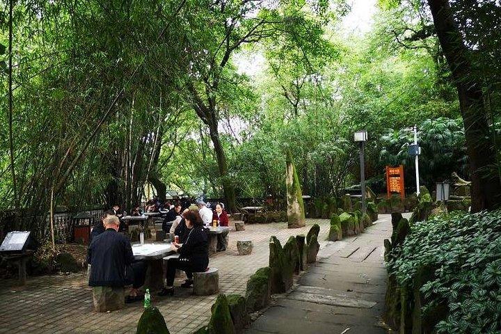 エリン パークと重慶博物館を含む重慶半日午前プライベート ツアー
