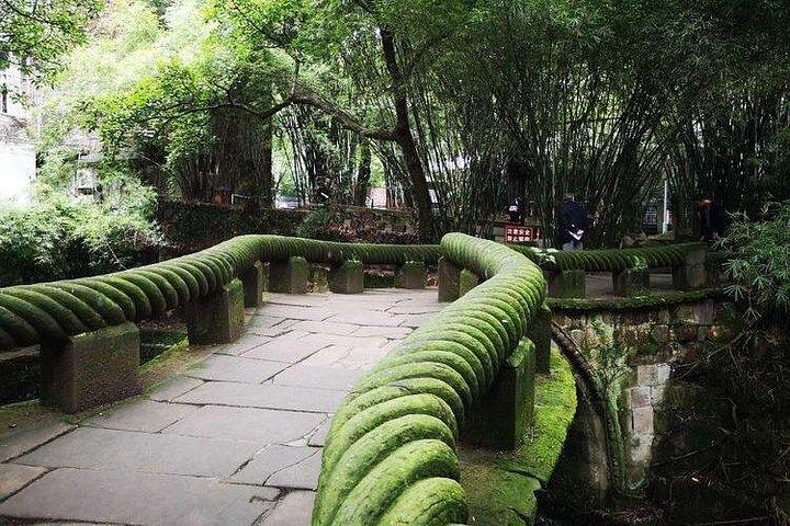 エリン パークと重慶博物館を含む重慶半日午前プライベート ツアー