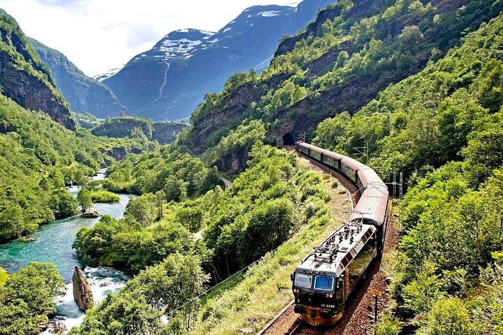 ソグネフィヨルドとフロム鉄道を利用した、オスロからベルゲンへのプライベート 1 日旅行