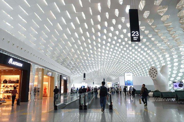 空港、ホテル、クルーズ港間のプライベート片道送迎 (英語サービス)