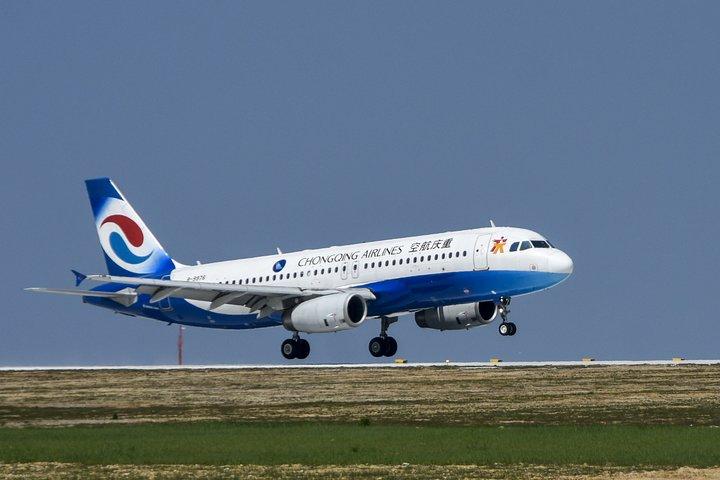 空港、ホテル、クルーズ港間のプライベート片道送迎 (英語サービス)