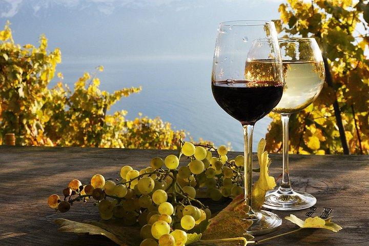 Private Alsace Wine Tasting & Basel Day Tour from Lucerne