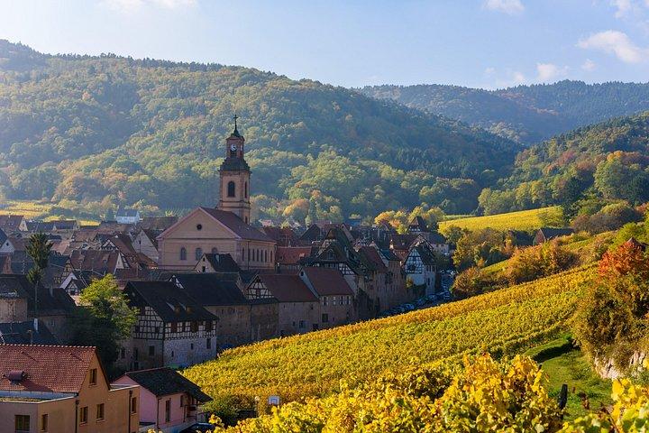 Private Alsace Wine Tasting & Basel Day Tour from Lucerne