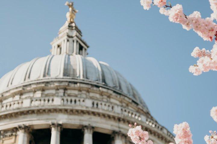ロンドンのプライベートツアーハイライト、エントリセントポール大聖堂、ロンドン塔