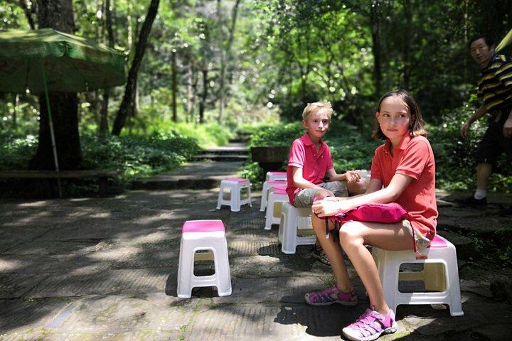 楊家界の終日張家界国立公園プライベートハイキングツアーホテル