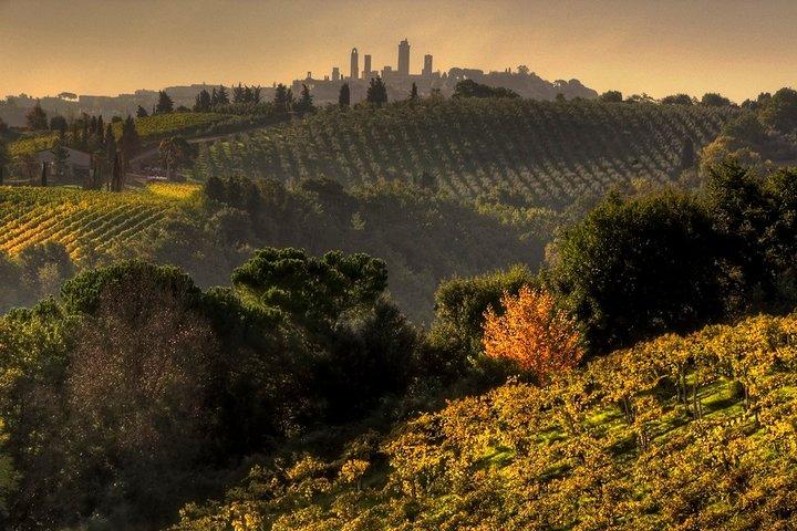 Excursão para grupos pequenos em Chianti e San Gimignano ao pôr do sol saindo de Siena
