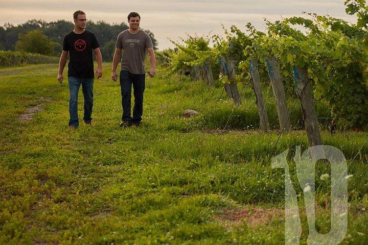 Degustazione di vini classici tra le righe