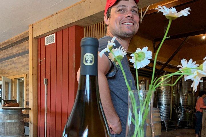 Degustazione di vini classici tra le righe