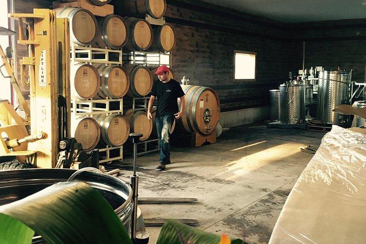 Degustazione di vini classici tra le righe