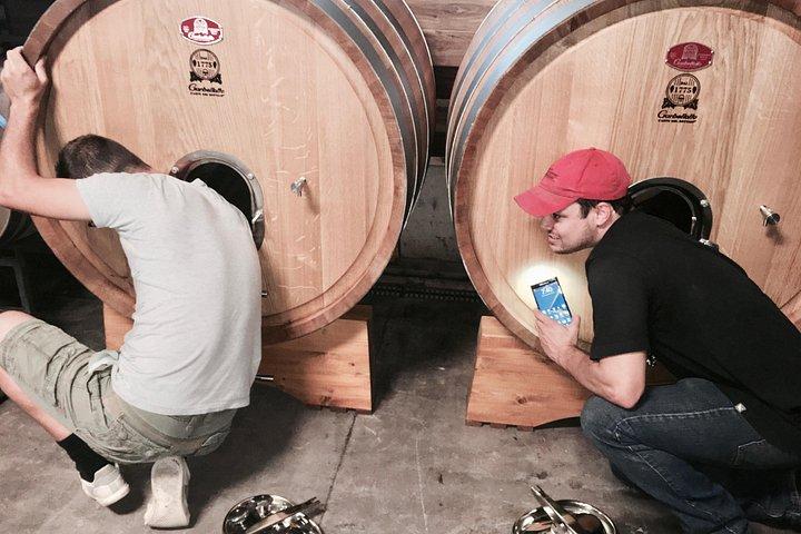 Degustazione di vini classici tra le righe