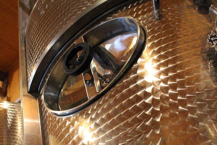 Degustazione di vini classici tra le righe