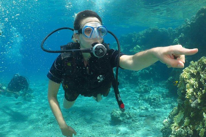 PADI Open Water Diver Course - 5 Days Scuba Diving