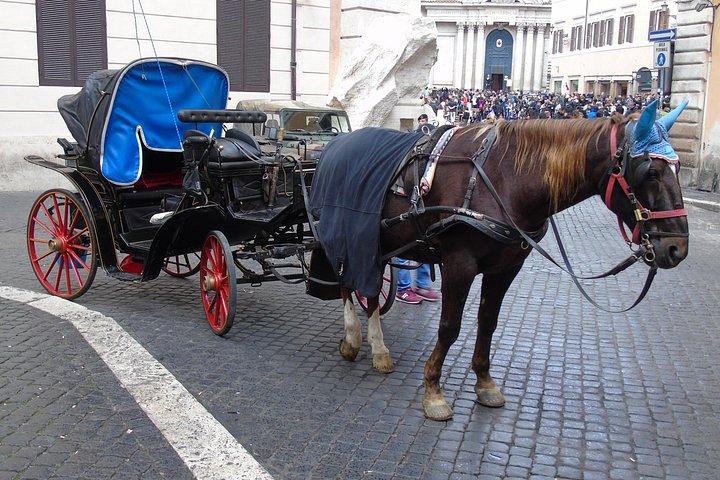 主要な地中海クルーズ港からのItalyBesTours