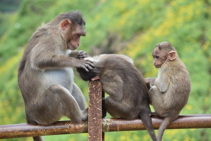 Visite guidée de Pune à Lonavala en véhicule privé