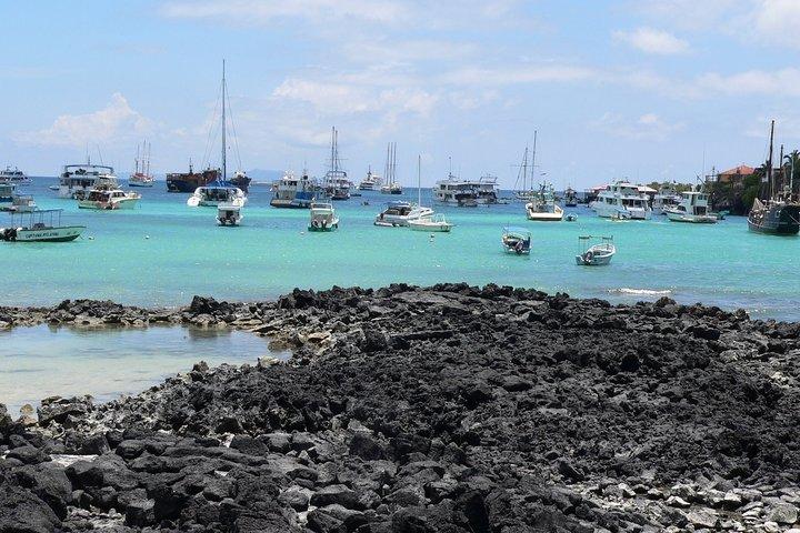 Traslado del aeropuerto al hotel con excursiones en la isla de Santa Cruz