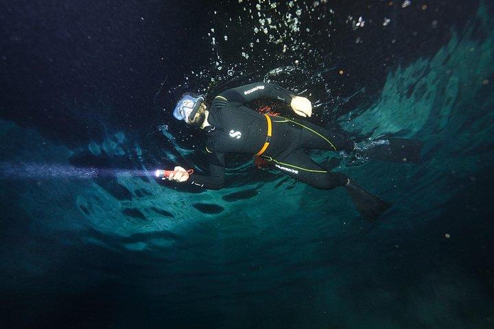 Night Snorkeling