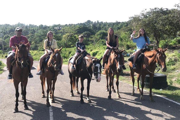 Cachoeiras de buraco azul + passeio combinado a cavalo de Ocho Rios