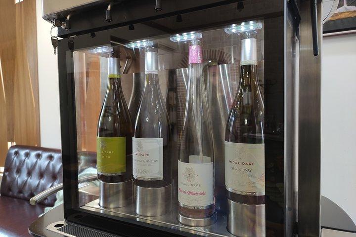 Excursion privée d'une journée de Plovdiv aux caves à vin et dégustation de vin