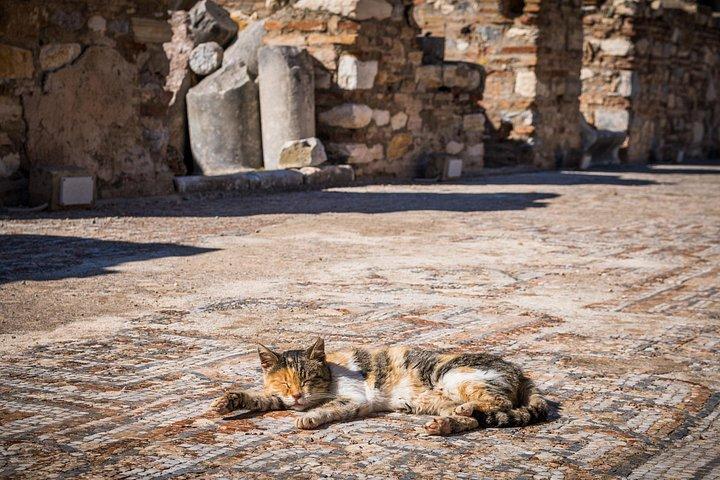Ephesus Small Group Day Tour från Selcuk