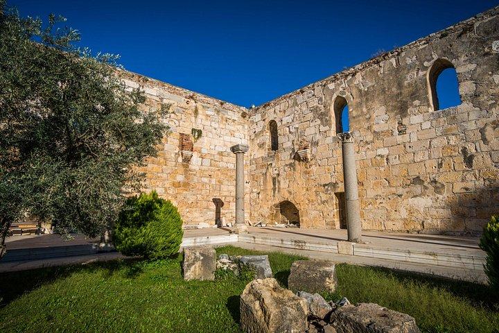 Ephesus Small Group Day Tour from Izmir