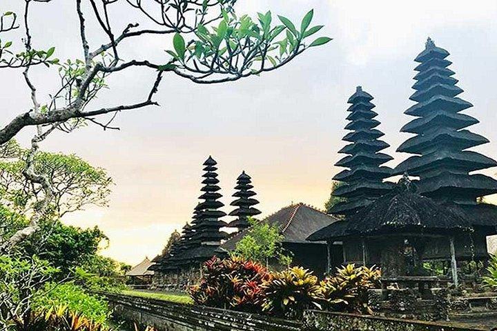 Excursion d'une journée complète à Ubud et Tanah Lot