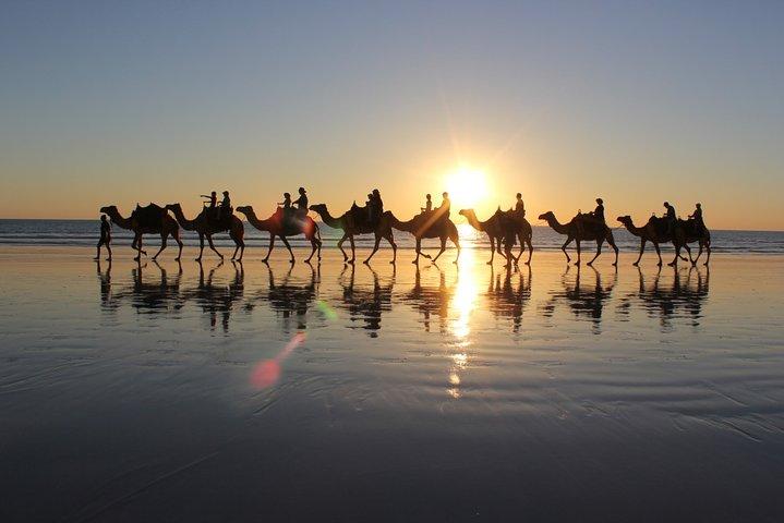 Private Essaouira Excursion from Marrakech