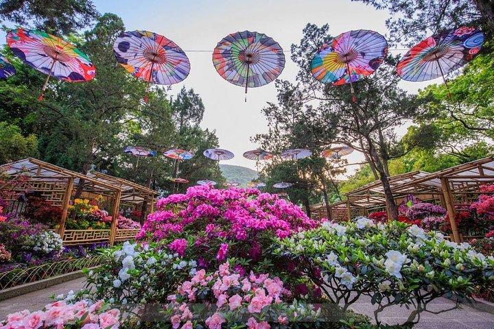 4-stündige private Wuxi-Tour: Altstadt von Huishan, Jichang-Garten und Nanchan-Tempel