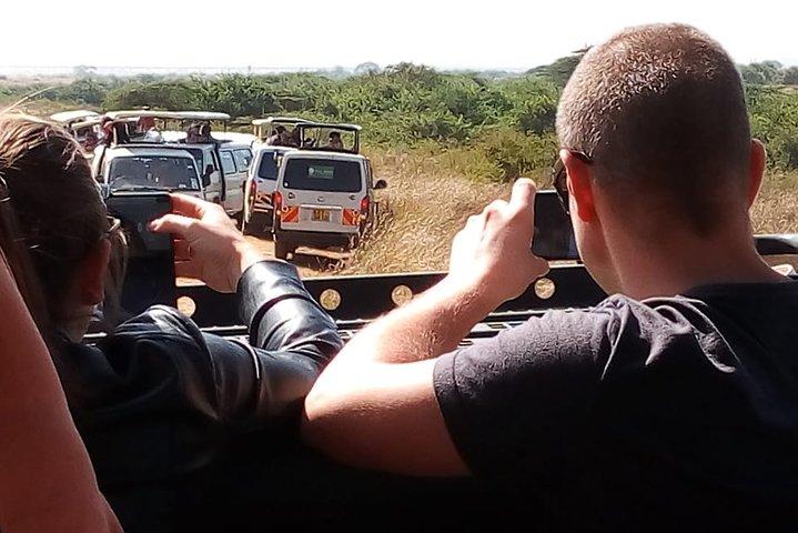 Tsavo-East-Nationalpark: Kleingruppentour