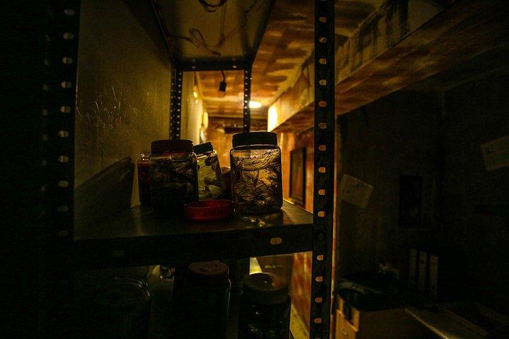 Xcape Room Bcn：みこの日記