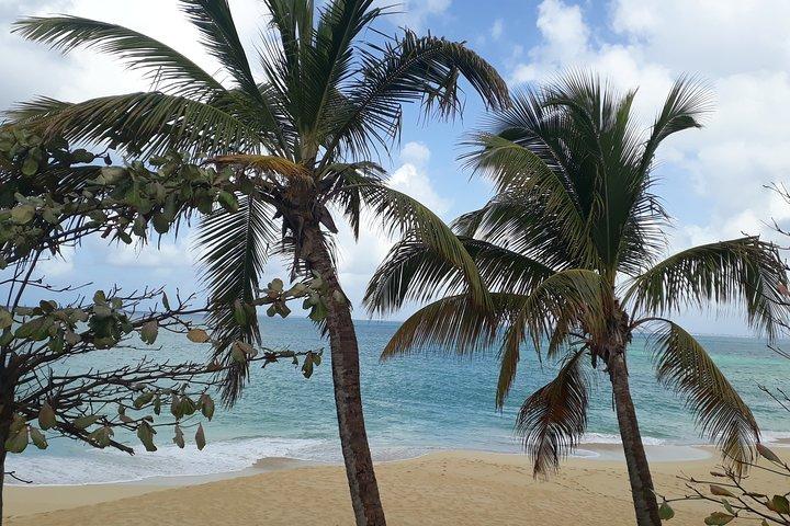 The Soul Of Pirates Boat Trip Adventure Charter Caribbean Day Full Day SXM