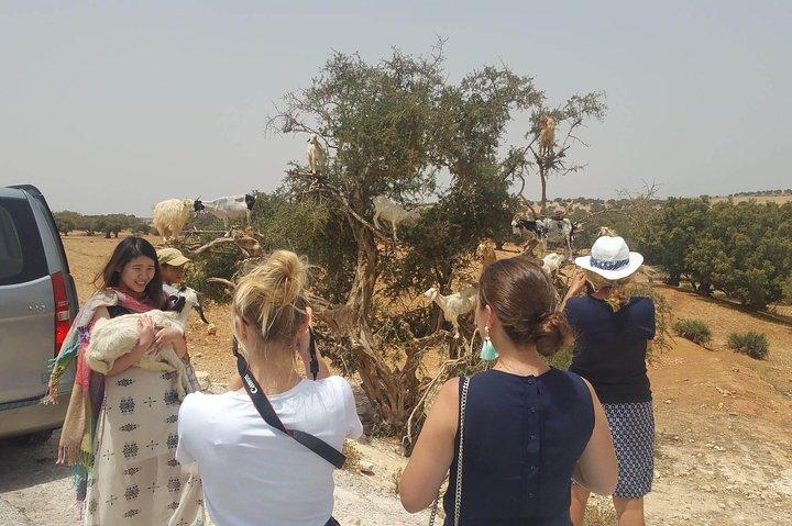 Essaouira gruppeudflugt