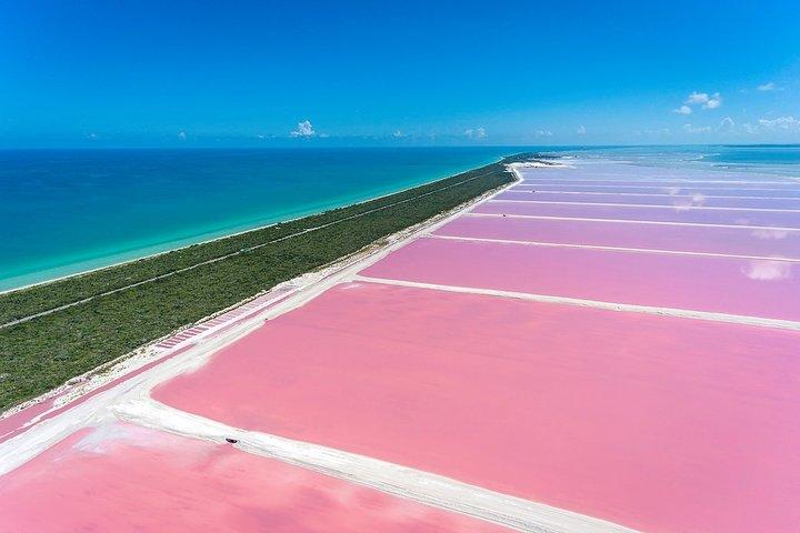 Découvrez les FABULEUSES EAUX ROSE dans les Caraïbes
