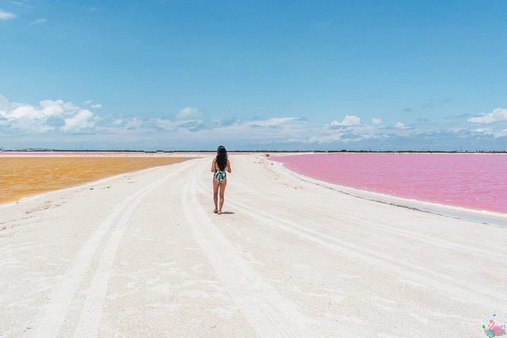 Découvrez les FABULEUSES EAUX ROSE dans les Caraïbes