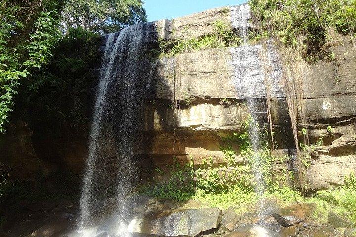 1.5 - Dia Shimba Hills Safari: Floresta Tropical e Cataratas
