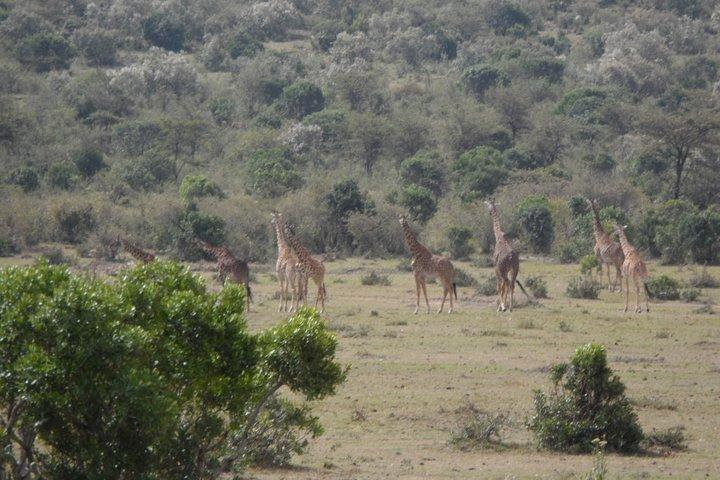 Mt. Longonot geführte Kletterexpeditionen