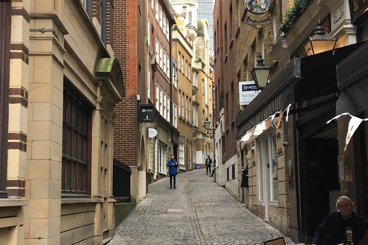 Visita guiada privada y con chofer de Londres