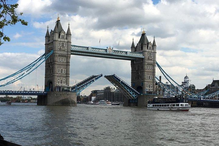 Visite privée à pied personnalisée : visite d'une demi-journée de Londres
