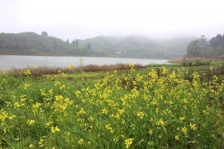 Excursión privada de un día por el pueblo de Xitou desde Guangzhou
