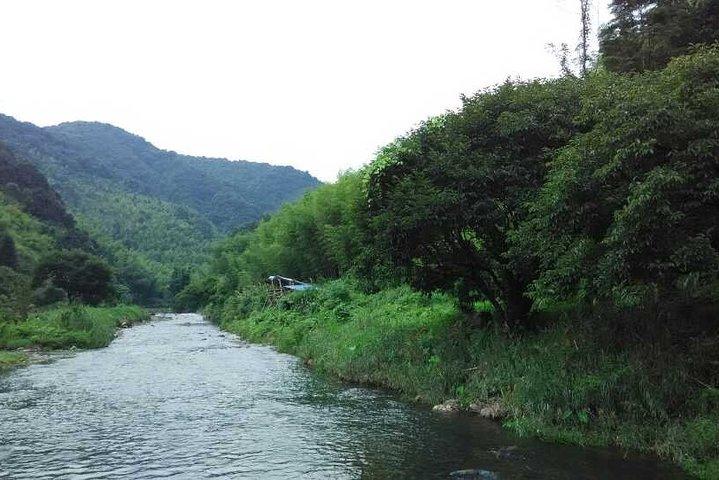Excursión privada de un día por el pueblo de Xitou desde Guangzhou