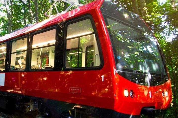 Tour della città di un'intera giornata in treno Corcovado e Pan di Zucchero con pranzo