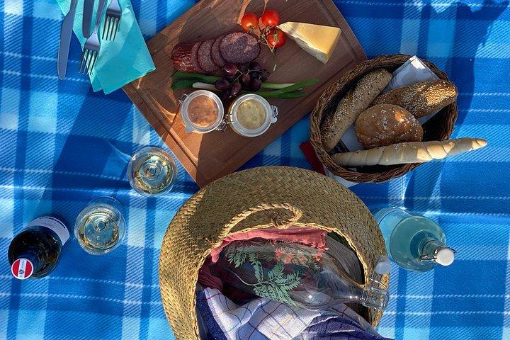 Eksklusiv all inclusive vinpicnic i vinmarkerne