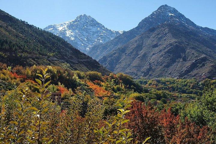 マラケシュ: アトラス山脈と三谷日帰りツアー